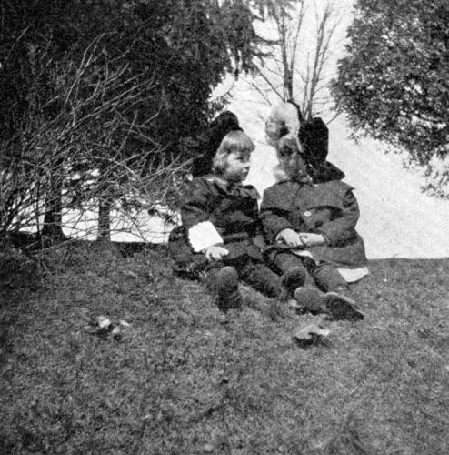 STUDYING NATURE STUDYING NATURE