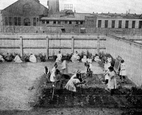 ANOTHER SECTION OF THE SAME GARDEN ANOTHER SECTION OF THE SAME GARDEN