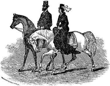 Position in Riding Position in Riding