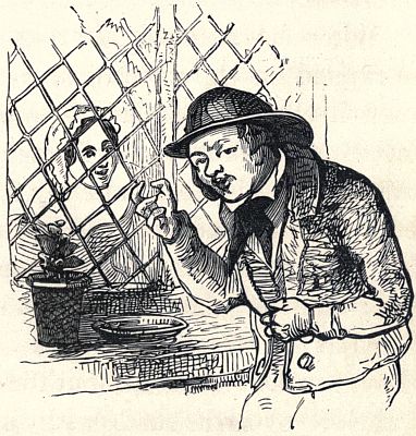 PETER'S RETURN HOME.