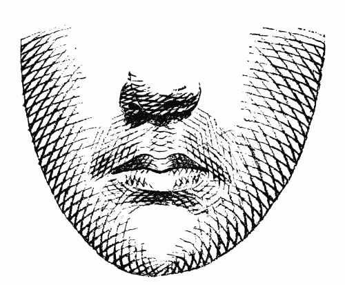 LINE EFFECT FOR FACE.  From the Annual Encyclopedia. Copyrighted, 1891, by D. Appleton & Co. LINE EFFECT FOR FACE.  From the Annual Encyclopedia. Copyrighted, 1891, by D. Appleton & Co.