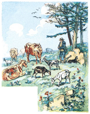 Pâturage du Jura Pâturage du Jura