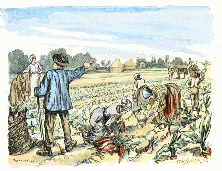 La Récolte des Betteraves La Récolte des Betteraves