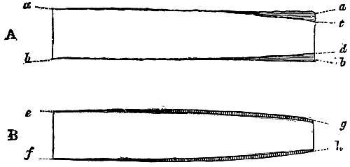 Fig. XIII. Fig. XIII.