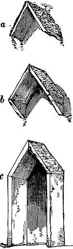 Fig. XLVIII. Fig. XLVIII.