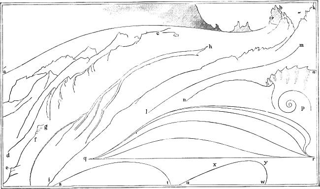 ABSTRACT LINES. ABSTRACT LINES.