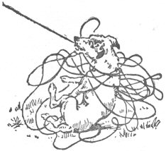 Dog wrapped in tow-line Dog wrapped in tow-line