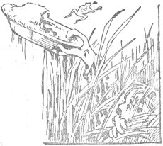 Rescuing the pie Rescuing the pie