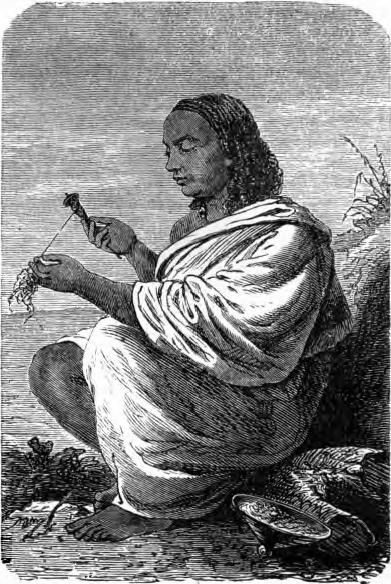 Abessinierin, Baumwolle spinnend. Zeichnung von E. Zander. Abessinierin, Baumwolle spinnend. Zeichnung von E. Zander.