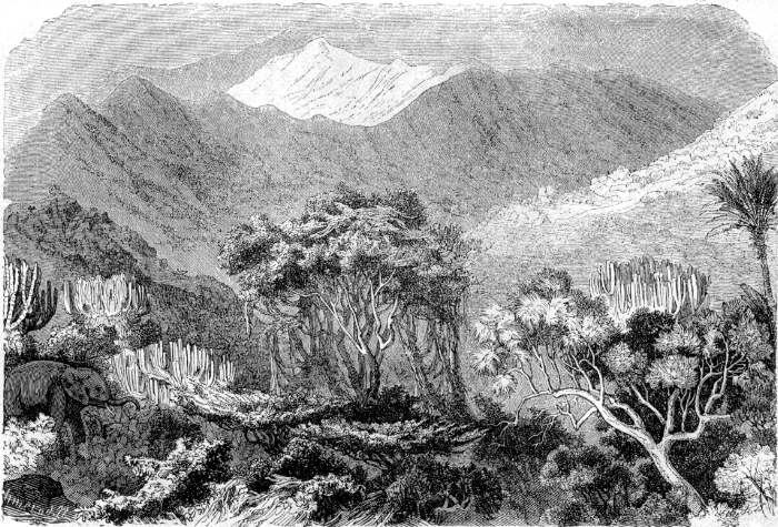 Landschaftscharakter am Abfall der ostabessinischen Gebirge. Zeichnung von Robert Kretschmer. Landschaftscharakter am Abfall der ostabessinischen Gebirge