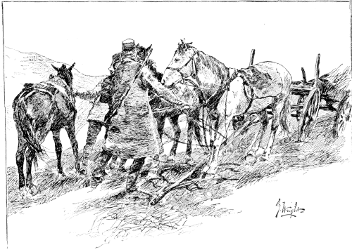 HELPING A TURK WHOSE HORSES RAN AWAY AT SIGHT OF OUR BICYCLES. HELPING A TURK WHOSE HORSES RAN AWAY AT SIGHT OF OUR BICYCLES.