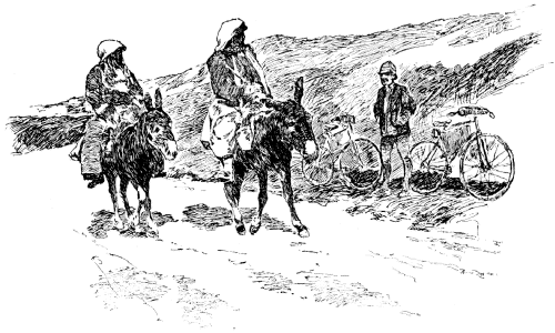 A CONTRAST. A CONTRAST.