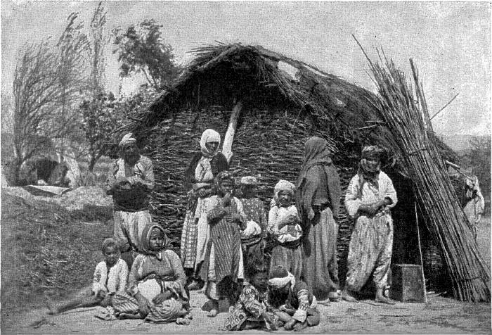 GIPSIES OF ASIA MINOR. GIPSIES OF ASIA MINOR.