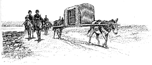 THE CONVEYANCE OF A PERSIAN OFFICIAL TRAVELING IN DISGRACE TO TEHERAN AT THE CALL OF THE SHAH. THE CONVEYANCE OF A PERSIAN OFFICIAL TRAVELING IN DISGRACE TO TEHERAN AT THE CALL OF THE SHAH.