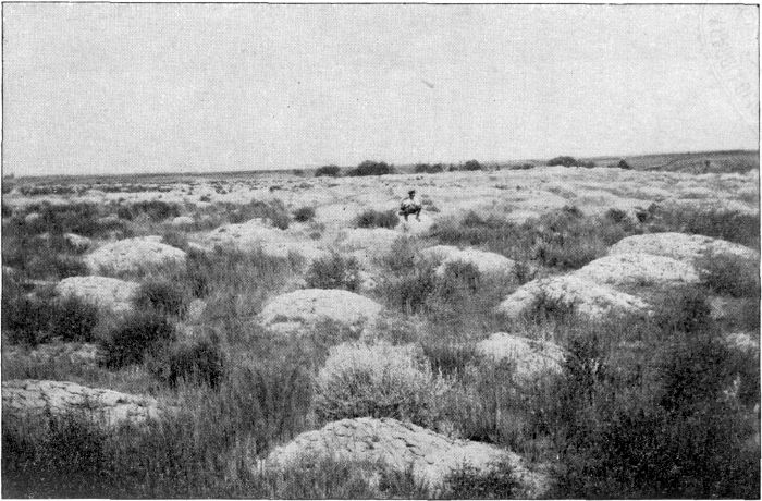 A CHINESE GRAVEYARD ON THE EASTERN OUTSKIRTS OF KULDJA. A CHINESE GRAVEYARD ON THE EASTERN OUTSKIRTS OF KULDJA.