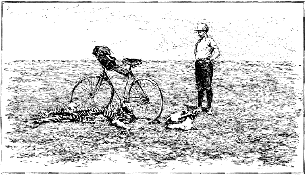 IN THE GOBI DESERT. IN THE GOBI DESERT.