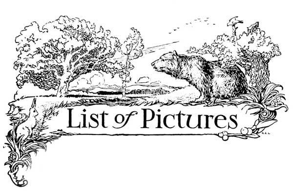List of Pictures