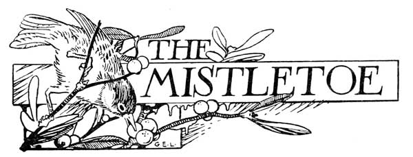 THE MISTLETOE