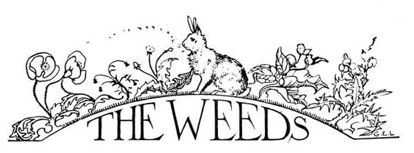 THE WEEDS