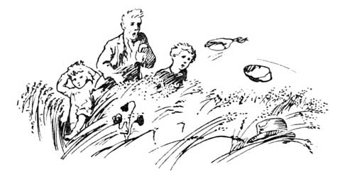 untitled - end decoration