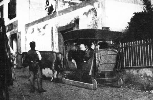 IT IS NOT RAPID TRANSIT. IT IS NOT RAPID TRANSIT.