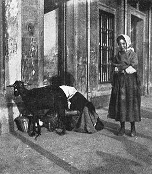 THERE IS A LITTLE MILK-MAID SERVING MILK. THERE IS A LITTLE MILK-MAID SERVING MILK.