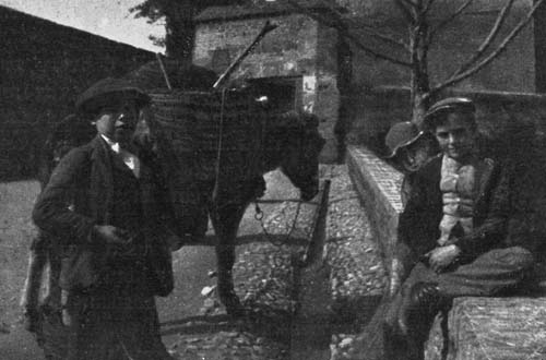 INTO THE PANNIERS ON THE DONKEY'S BACK. INTO THE PANNIERS ON THE DONKEY'S BACK.