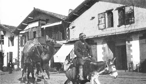 CAMEL AND DONKEY WERE BEDECKED WITH TRAPPINGS. CAMEL AND DONKEY WERE BEDECKED WITH TRAPPINGS.