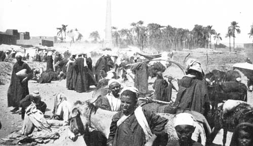 DONKEY BOYS WERE WAITING FOR US. DONKEY BOYS WERE WAITING FOR US.