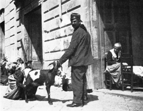 MADE A PICTURE THAT PLEASED THE ARTIST. MADE A PICTURE THAT PLEASED THE ARTIST.