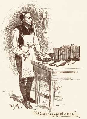 COO-COO'S SECOND HUSBAND "The Canary-gentleman."