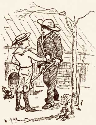 Brothers and MUSHROOMS