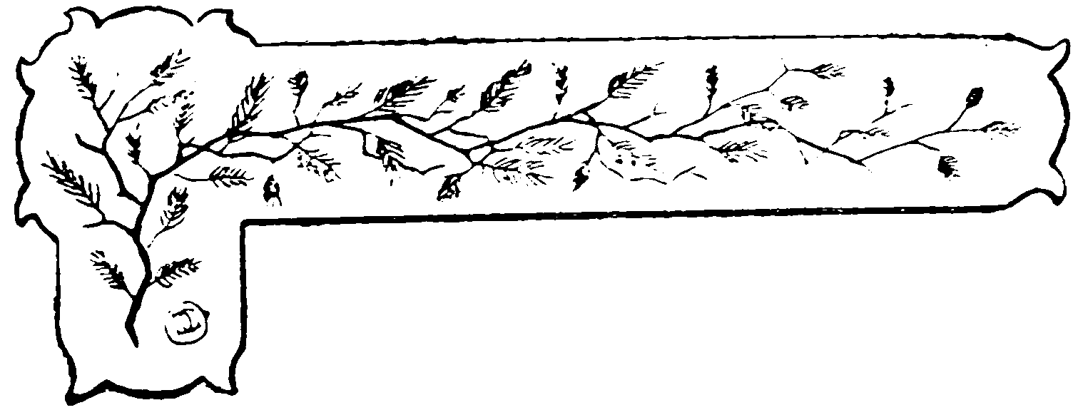 decoración decoración