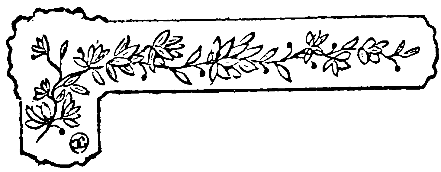 decoración decoración