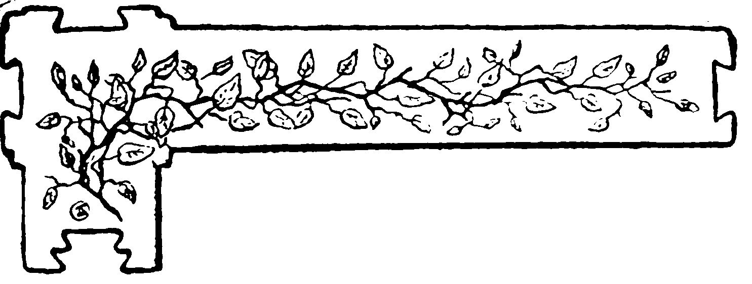 decoración decoración