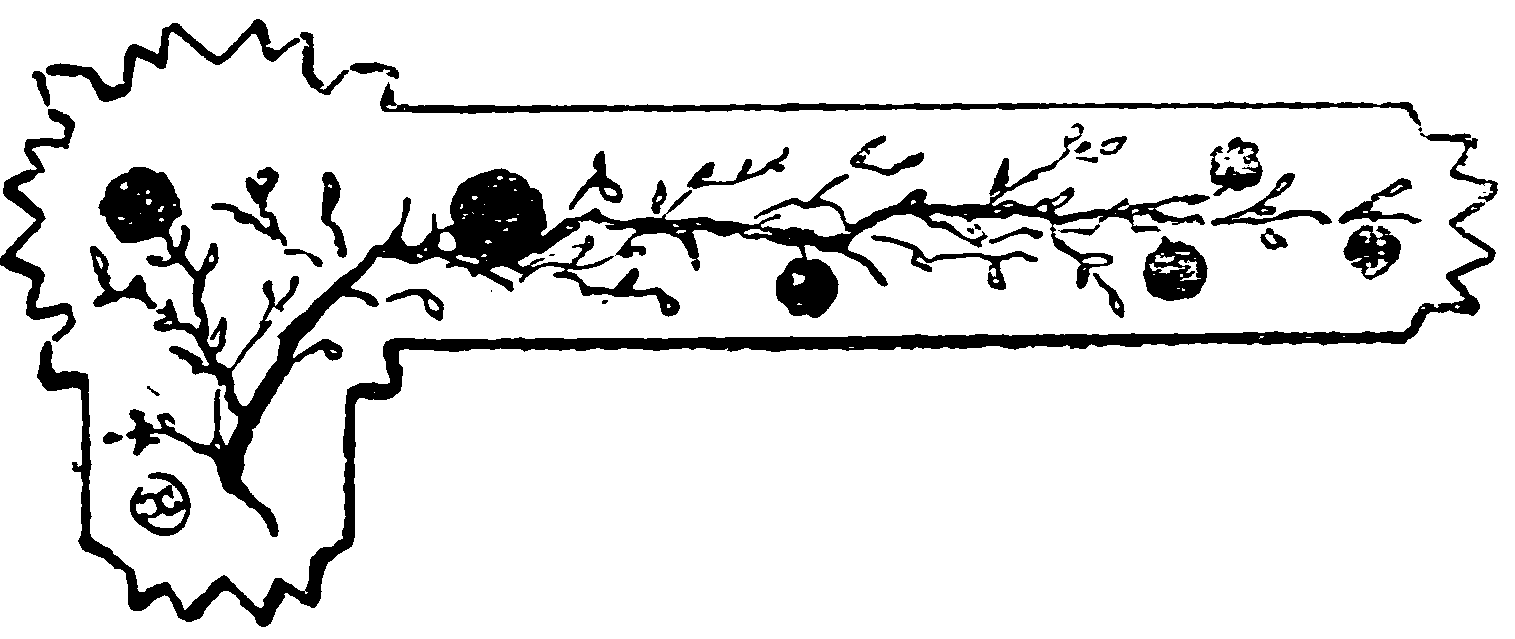 decoración decoración