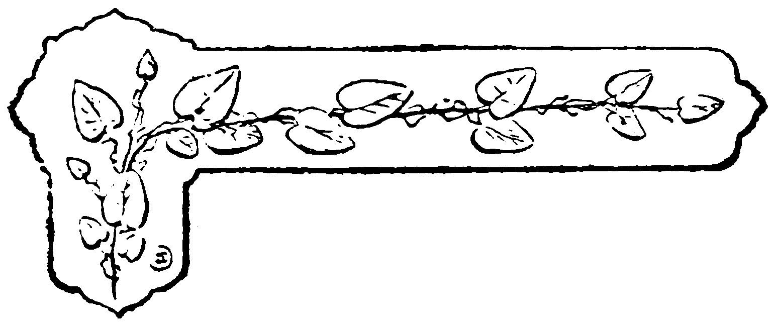 decoración decoración