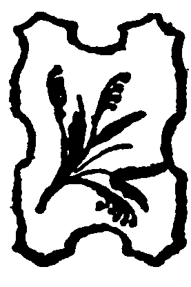 decoración decoración