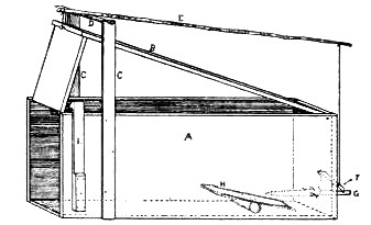 Box Trap for Catching Animals Alive.