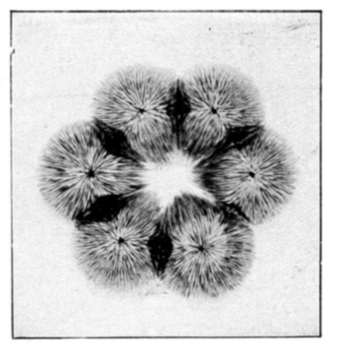 Fig. 5. Fig. 5.