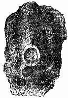 Fig. 6.—"The Clay Sarcophagus on Yonder Barn." Fig. 6.—"The Clay Sarcophagus on Yonder Barn."