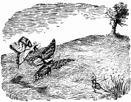 Fig. 24.—Bruce and Blythe on Their Way to Hilltop. Pixie Attus Tries to Lasso Them. Fig. 24.—Bruce and Blythe on Their Way to Hilltop. Pixie Attus Tries to Lasso Them.