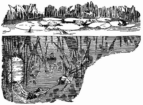 Fig. 106.—Pipe's Escape from the Water Pixie's Den. Fig. 106.—Pipe's Escape from the Water Pixie's Den.