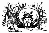 Fig. 119.—Peep-oh! Pixie! Fig. 119.—Peep-oh! Pixie!