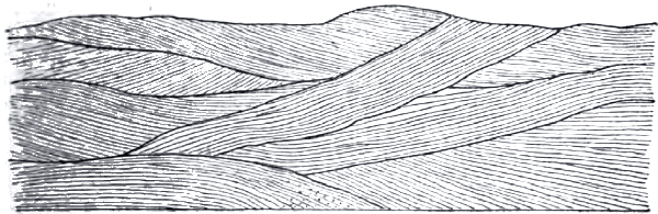 false bedding false bedding