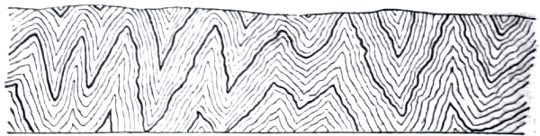 Contorted Strata Contorted Strata