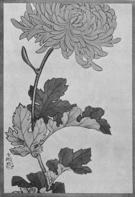 Most Careful Method of Laying on Color. Plate VIIII. Most Careful Method of Laying on Color. Plate VIIII.