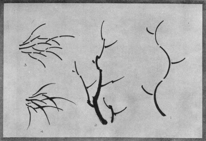 Theory of Tree Growth (1). Practical Application (2). Grass Growth in Theory (3). In Practice (4). Plate XXVIII. Theory of Tree Growth (1). Practical Application (2). Grass Growth in Theory (3). In Practice (4). Plate XXVIII.