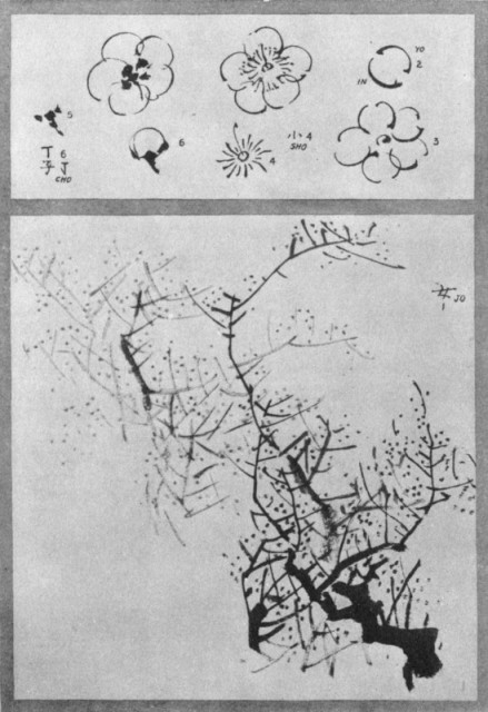 The Plum Tree and Blossom. Plate L. The Plum Tree and Blossom. Plate L.
