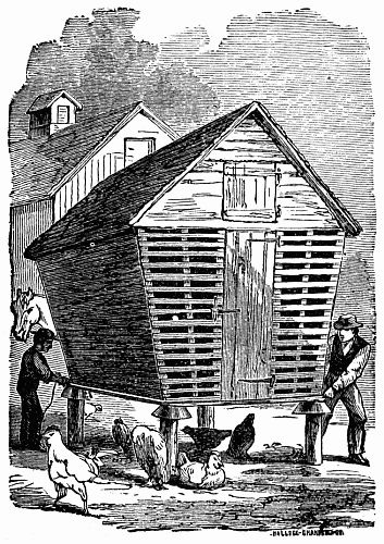 Chicken Coop (not listed on Illustrations page) Chicken Coop (not listed on Illustrations page)